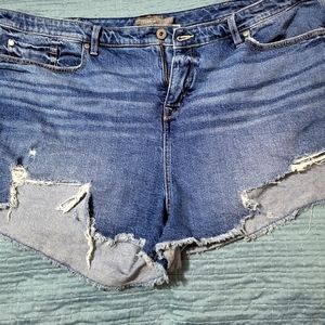 Torrid distressed Jean short